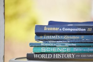 Why I Teach Grammar to High Schoolers: the importance of English class